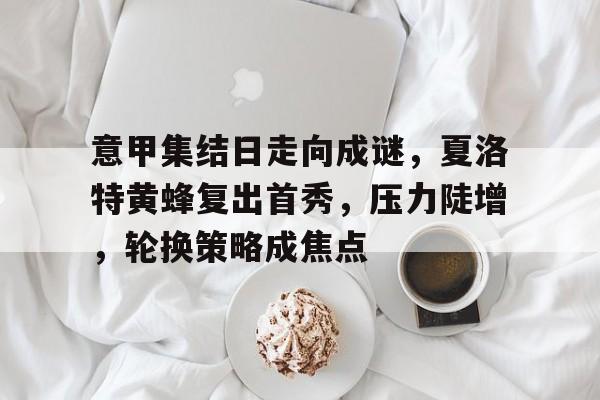 意甲集结日走向成谜，夏洛特黄蜂复出首秀，压力陡增，轮换策略成焦点的简单介绍九游体育APP